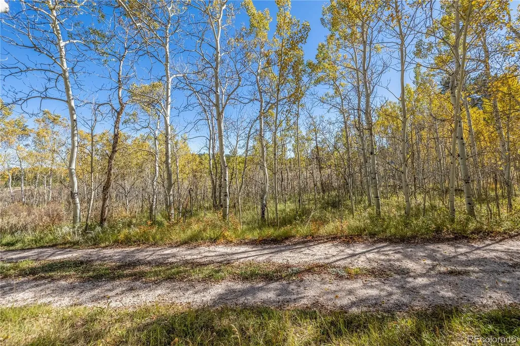 Lot 2a & 2b Red Feather Lakes CO 80545