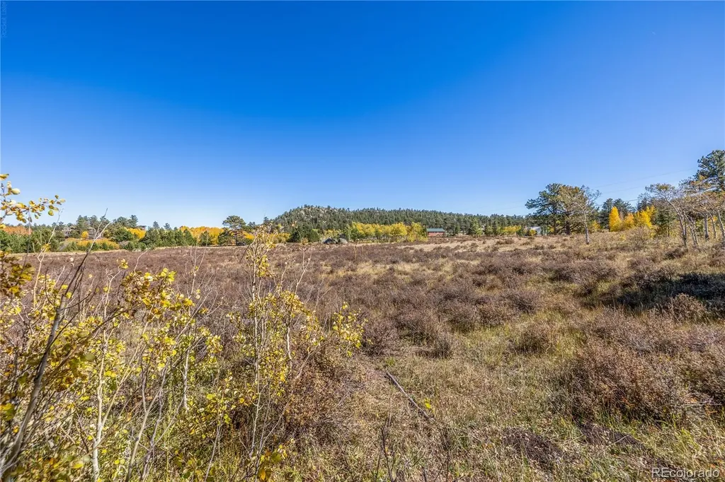 Lot 2a & 2b Red Feather Lakes CO 80545