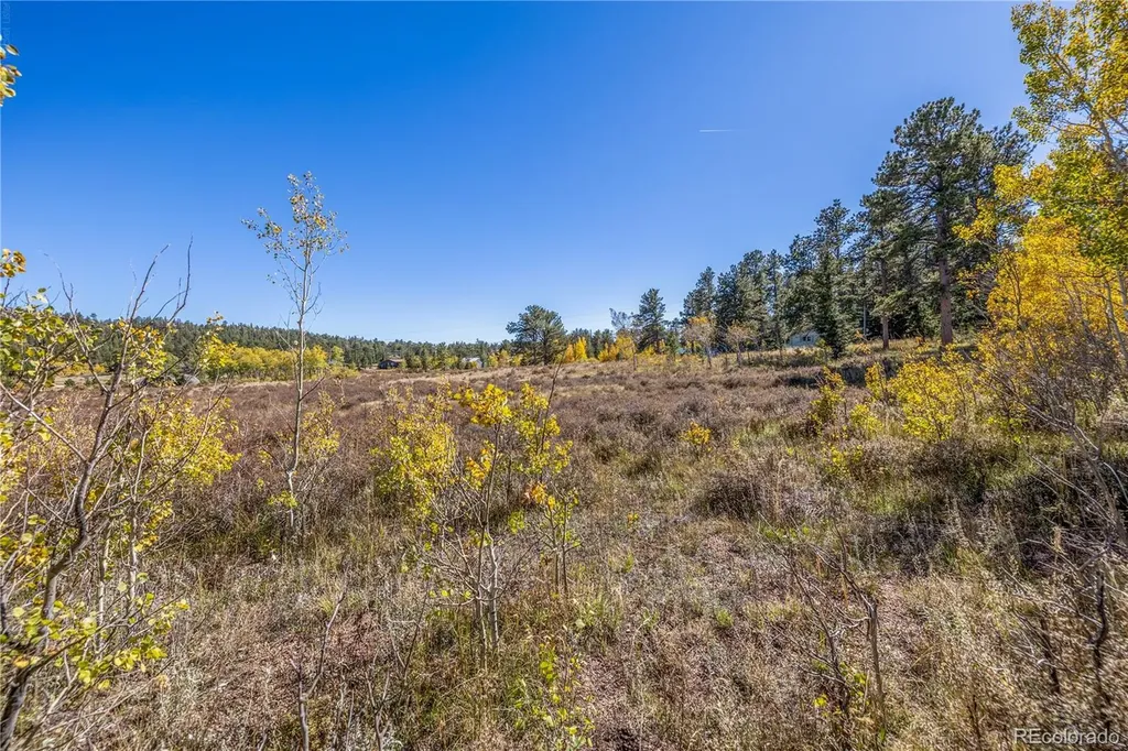 Lot 2a & 2b Red Feather Lakes CO 80545