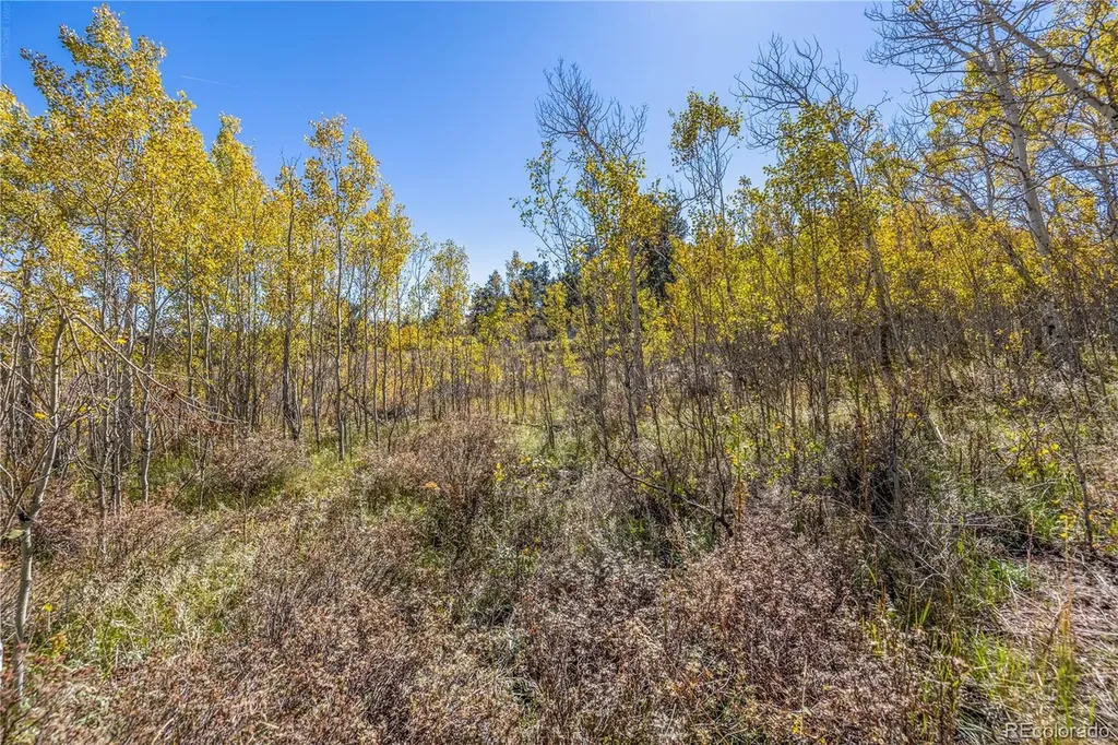 Lot 2a & 2b Red Feather Lakes CO 80545