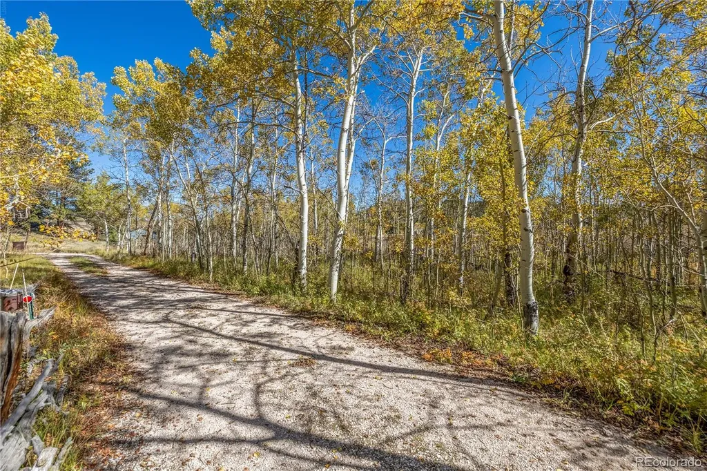 Lot 2a & 2b Red Feather Lakes CO 80545
