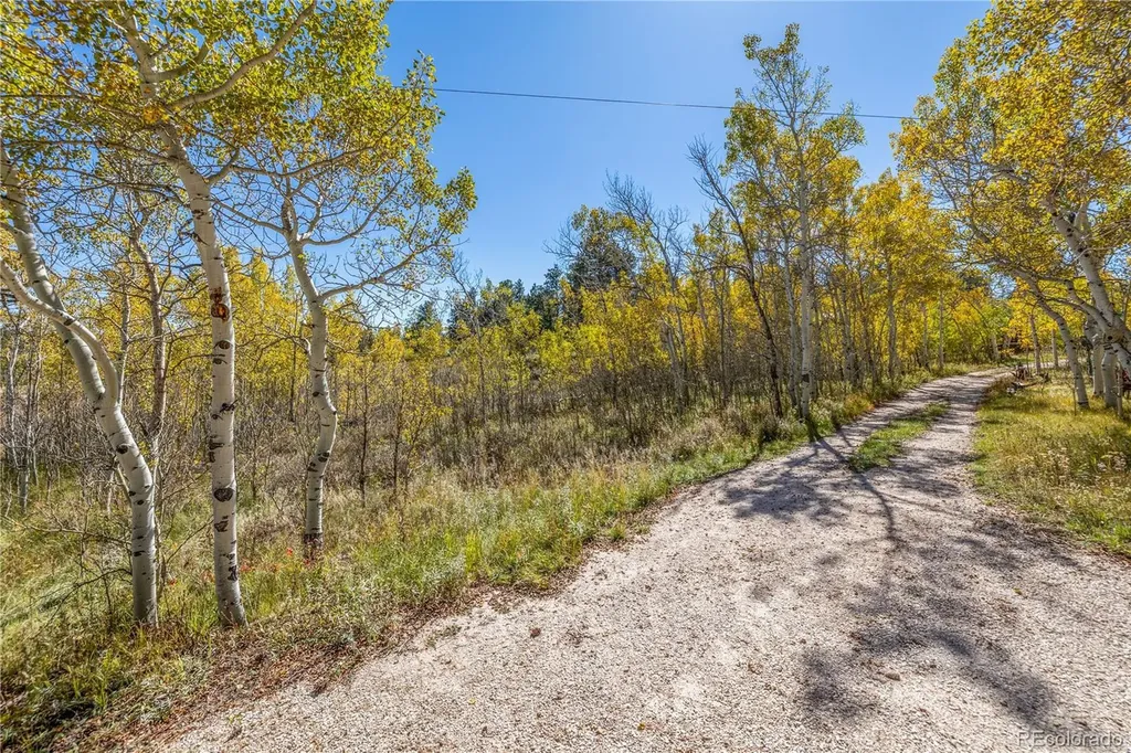 Lot 2a & 2b Red Feather Lakes CO 80545