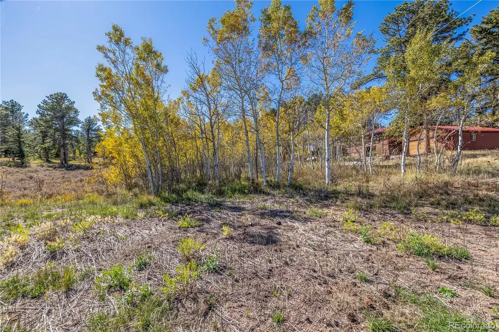Lot 2a & 2b Red Feather Lakes CO 80545