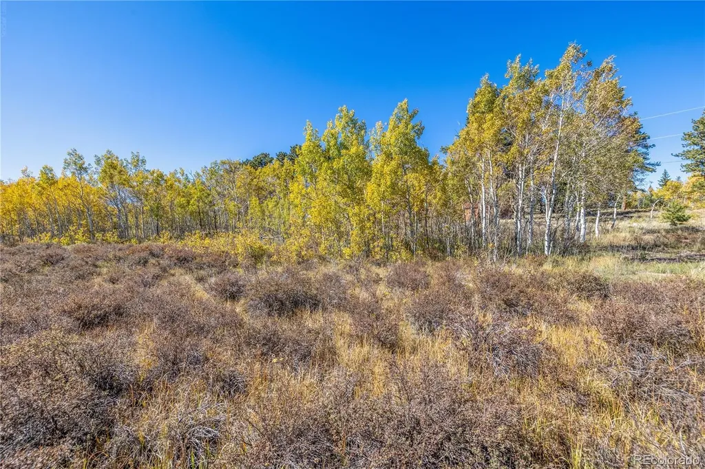 Lot 2a & 2b Red Feather Lakes CO 80545