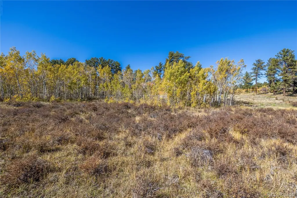 Lot 2a & 2b Red Feather Lakes CO 80545