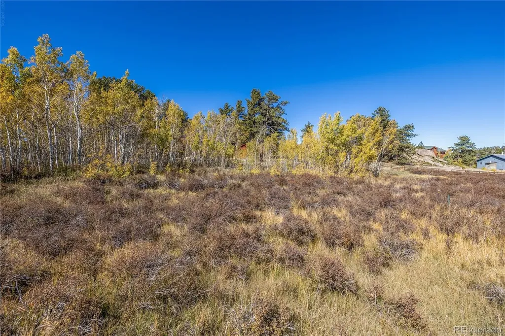 Lot 2a & 2b Red Feather Lakes CO 80545