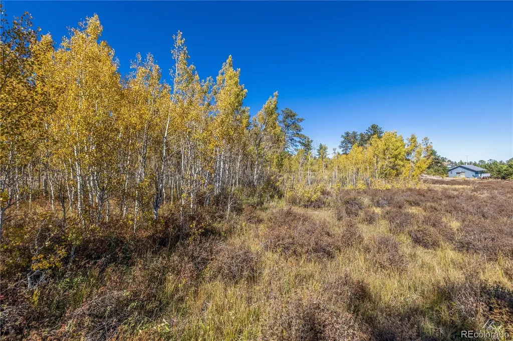 Lot 2a & 2b Red Feather Lakes CO 80545