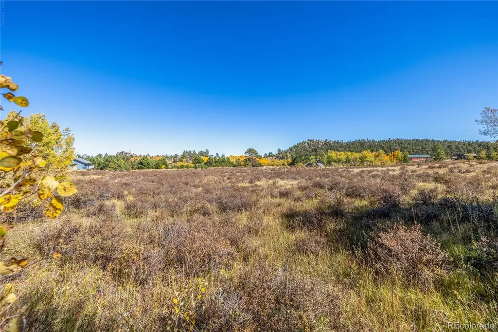 Lot 2a & 2b Red Feather Lakes CO 80545