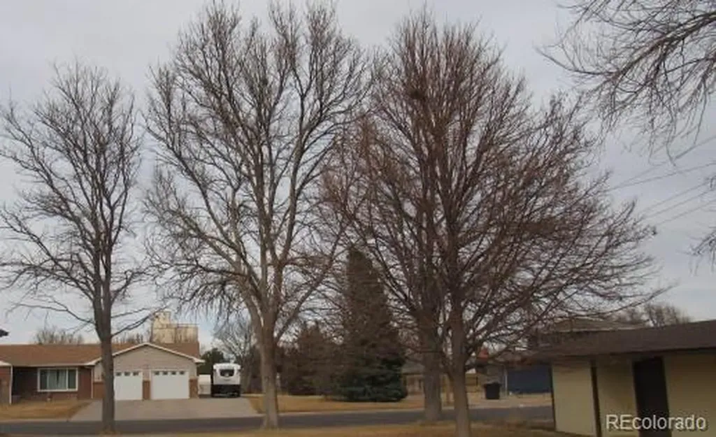 303 S Ivy Street Yuma CO 80759