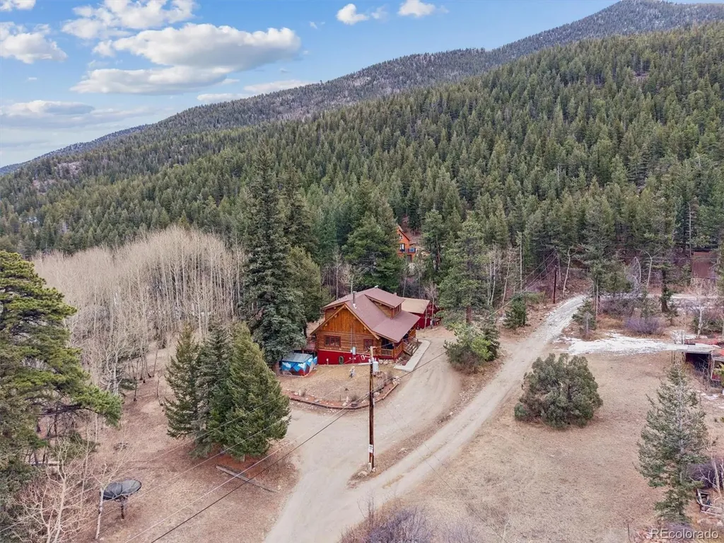 74 Silver Lode Circle Dumont CO 80436