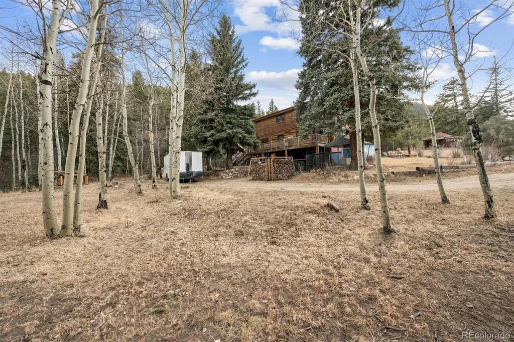 74 Silver Lode Circle Dumont CO 80436