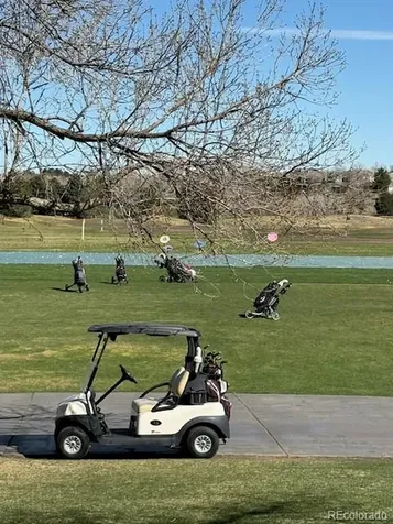 4 Shetland Court Highlands Ranch CO 80130