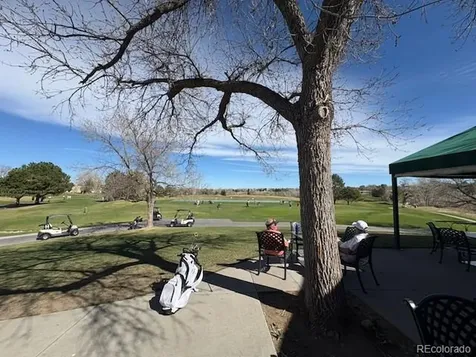 4 Shetland Court Highlands Ranch CO 80130