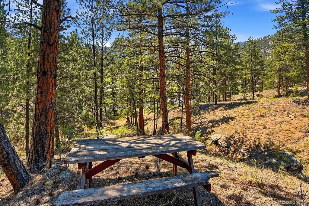 23935 Hilltop Road Pine CO 80470
