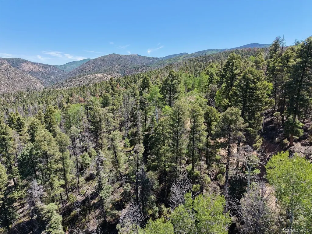 6031 Bruce Road Fort Garland CO 81133