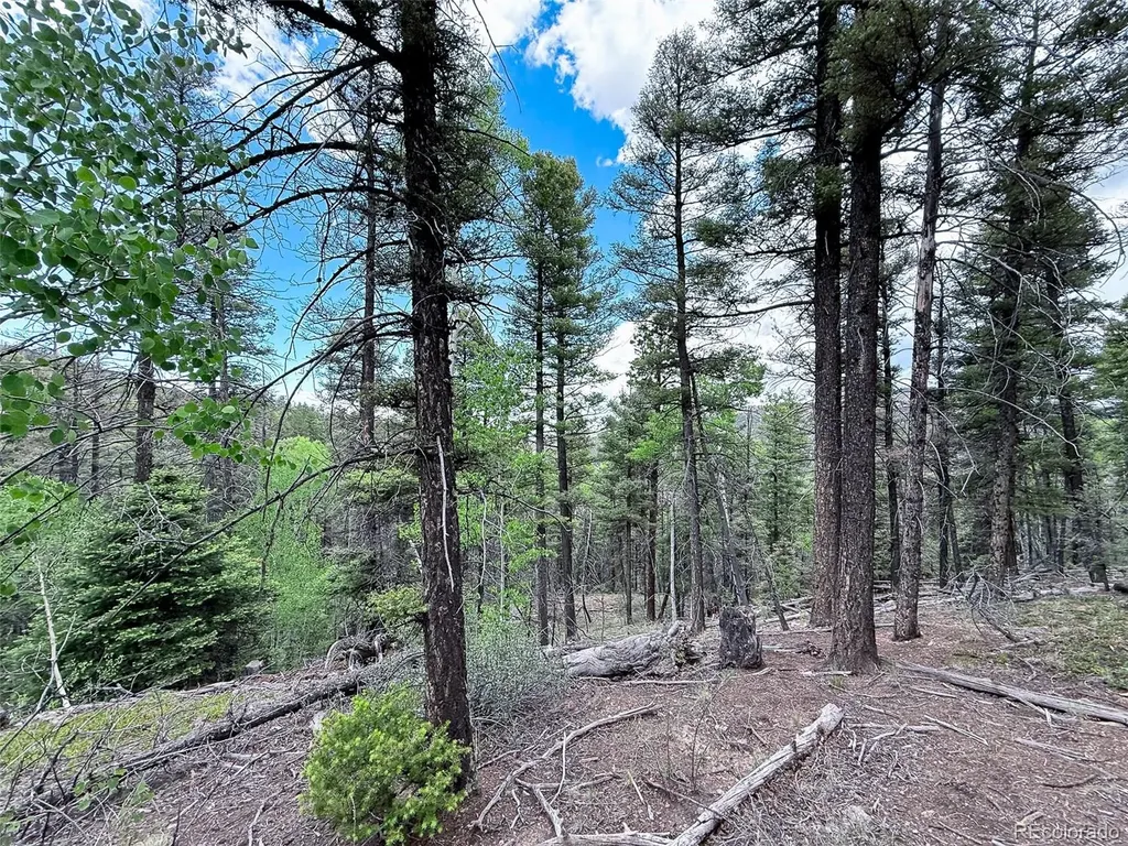 6031 Bruce Road Fort Garland CO 81133