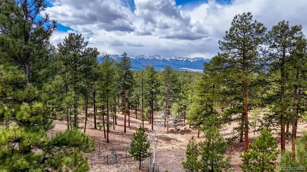 47 Wykagyl Circle Westcliffe CO 81252