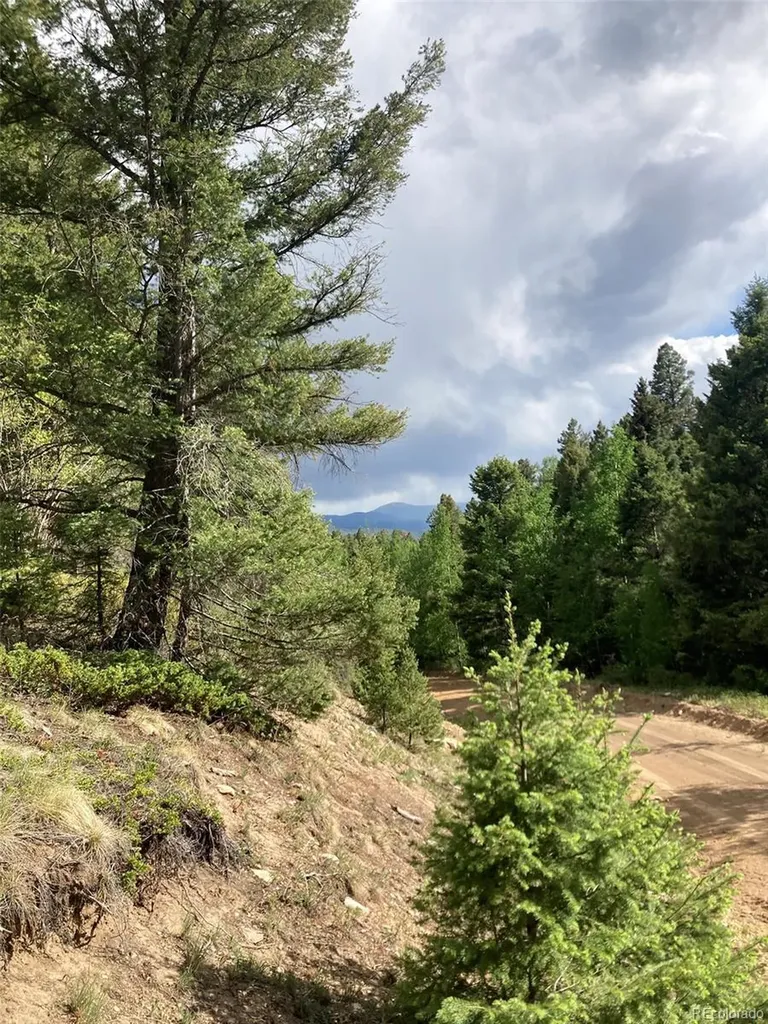 Lot 6461 Jacquez Road San Luis CO 81152