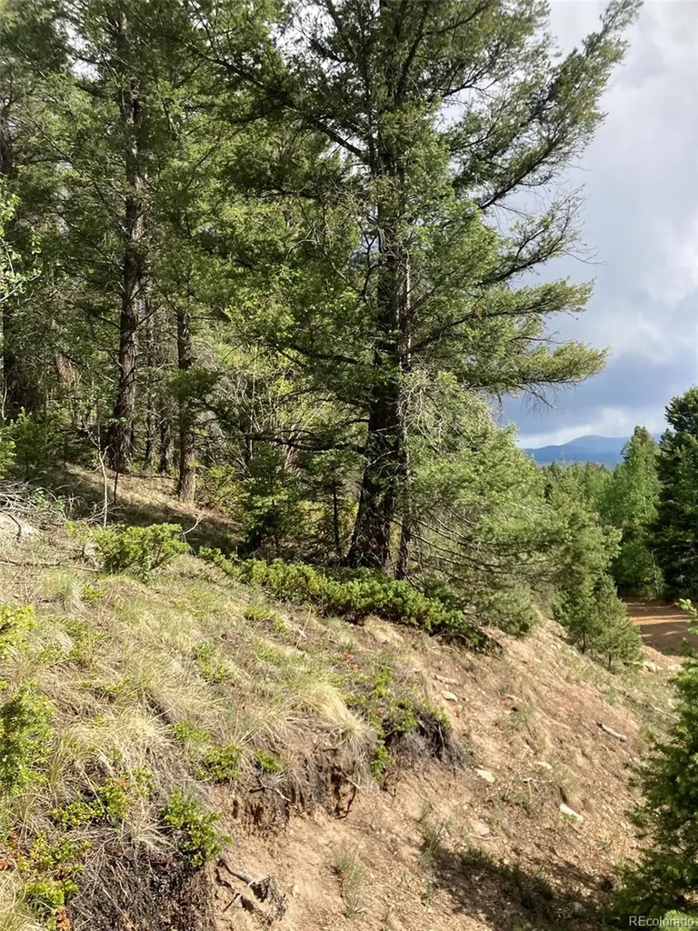 Lot 6461 Jacquez Road San Luis CO 81152