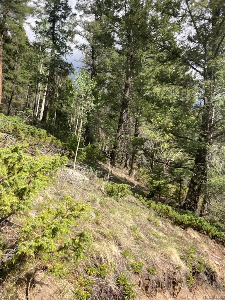 Lot 6461 Jacquez Road San Luis CO 81152