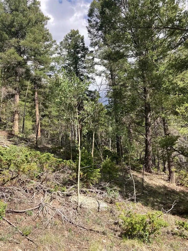 Lot 6461 Jacquez Road San Luis CO 81152
