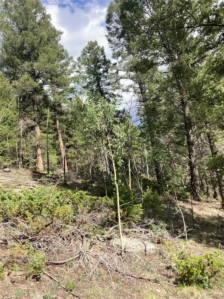 Lot 6461 Jacquez Road San Luis CO 81152