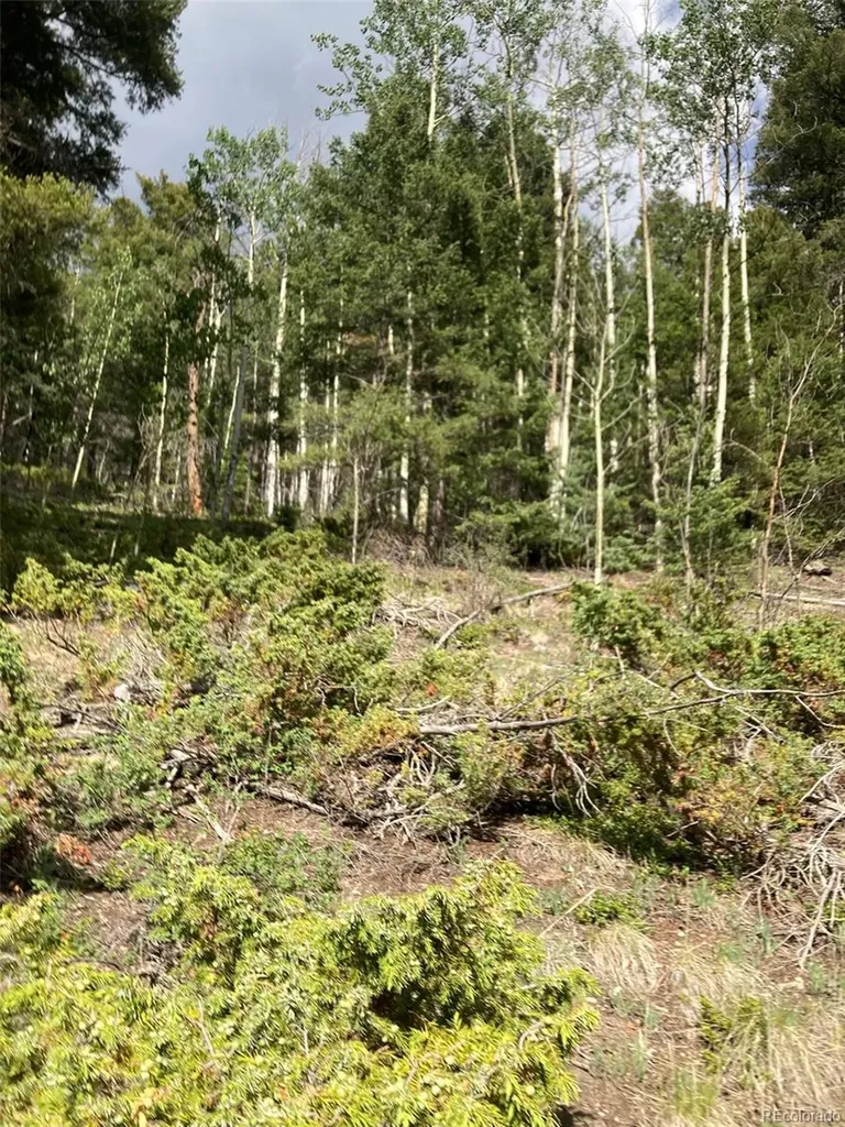 Lot 6461 Jacquez Road San Luis CO 81152