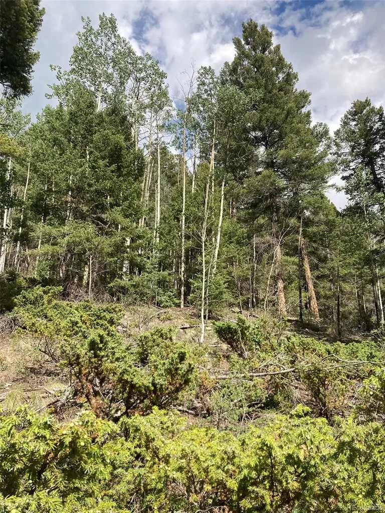 Lot 6461 Jacquez Road San Luis CO 81152