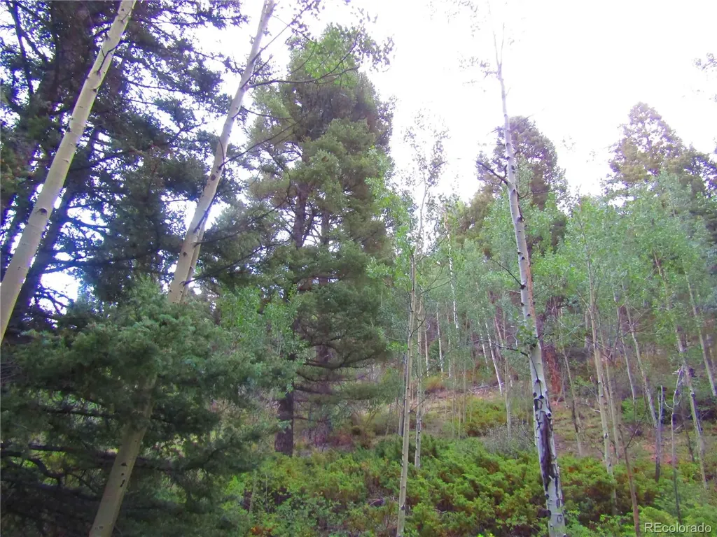 Lot 6461 Jacquez Road San Luis CO 81152