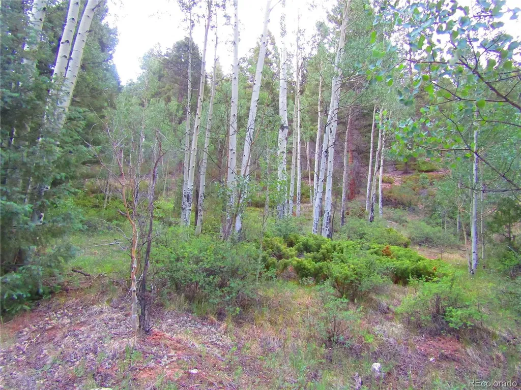 Lot 6461 Jacquez Road San Luis CO 81152