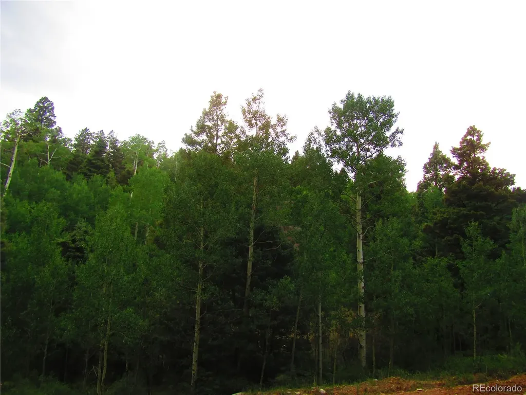 Lot 6461 Jacquez Road San Luis CO 81152
