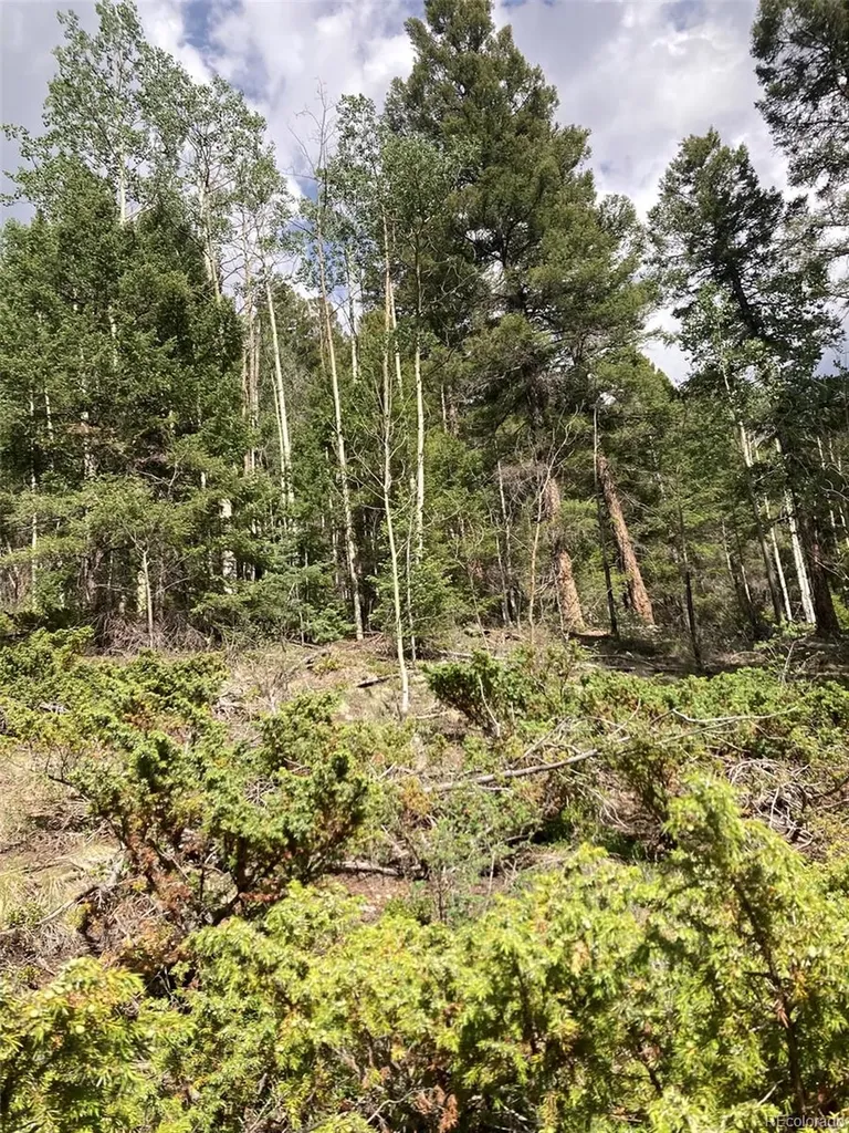 Lot 6461 Jacquez Road San Luis CO 81152