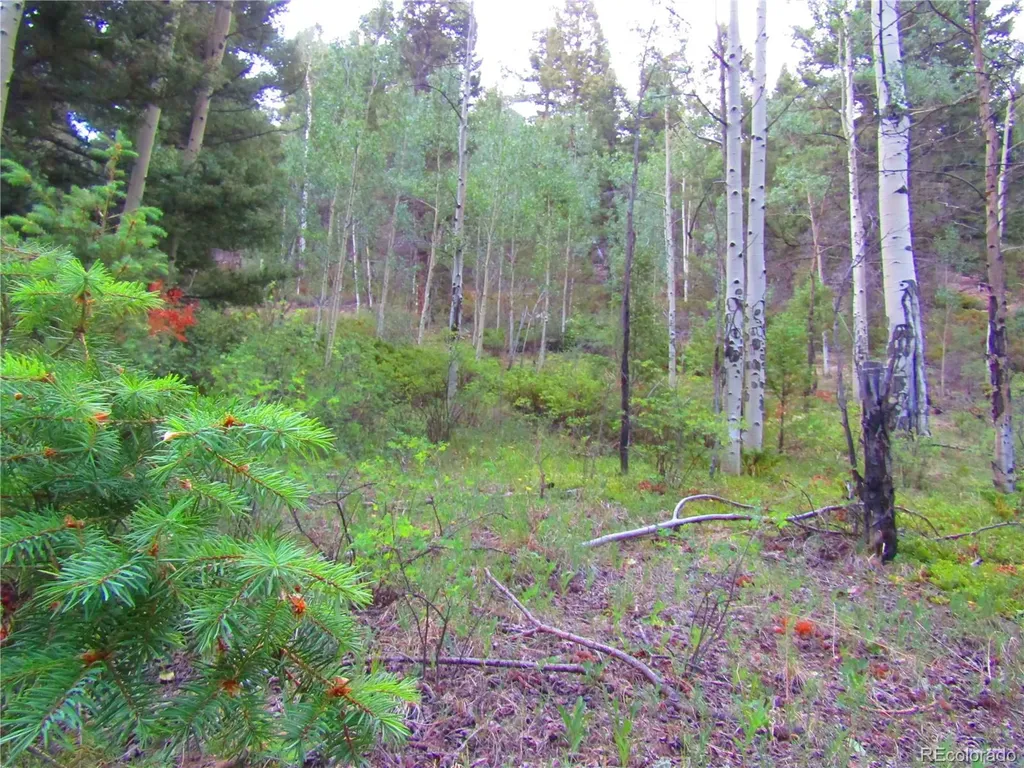 Lot 6461 Jacquez Road San Luis CO 81152