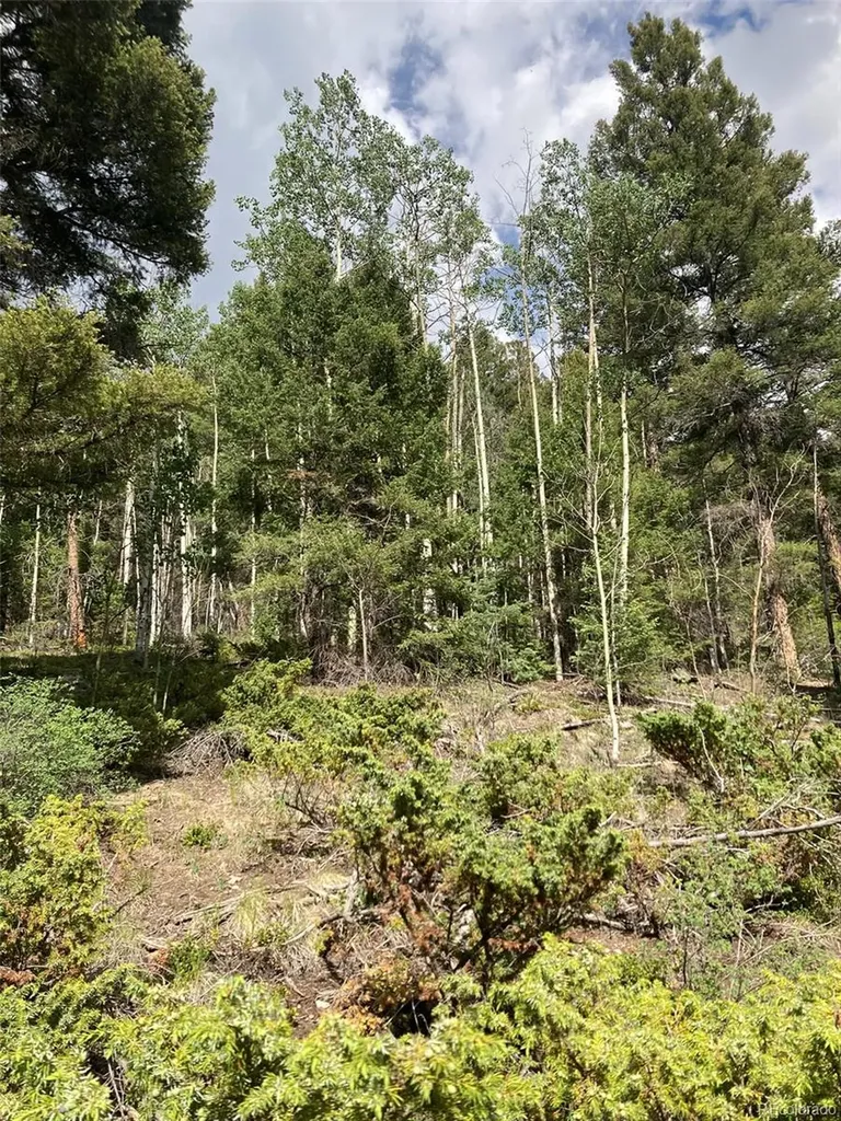 Lot 6461 Jacquez Road San Luis CO 81152