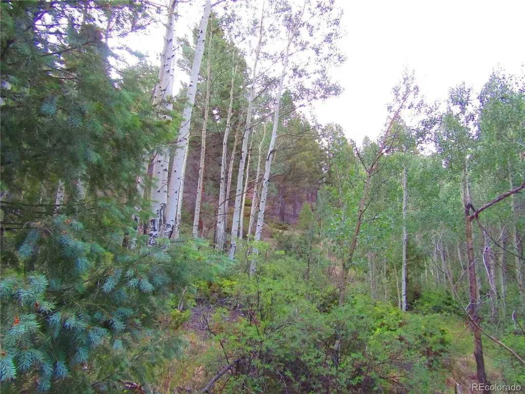 Lot 6461 Jacquez Road San Luis CO 81152