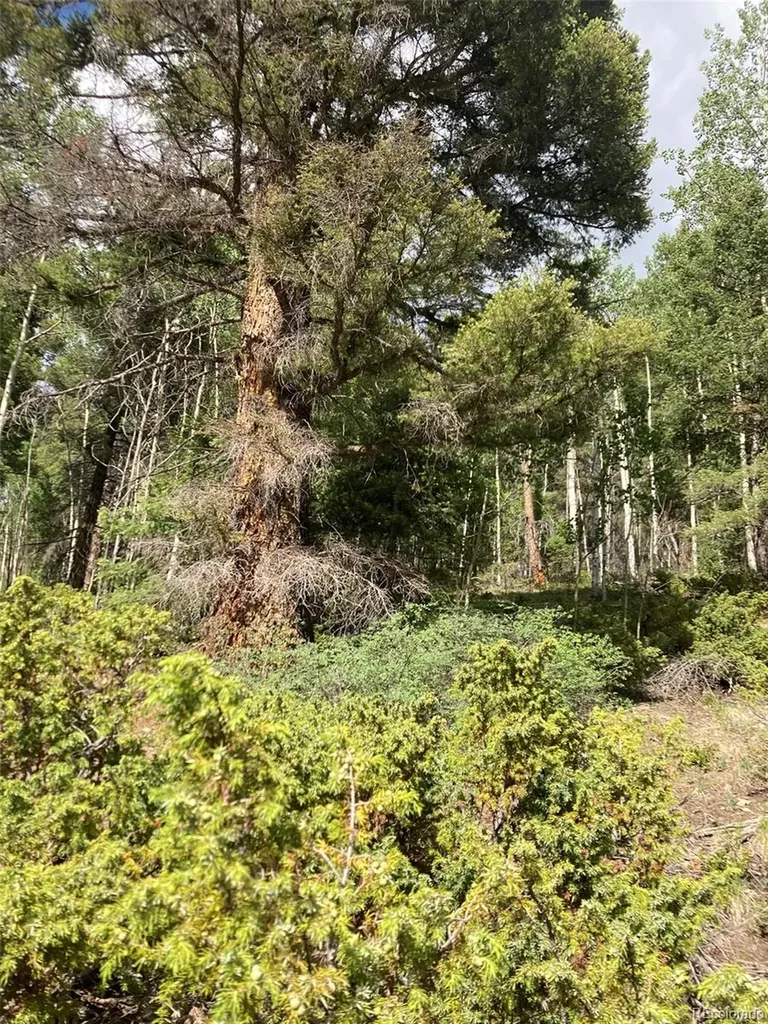 Lot 6461 Jacquez Road San Luis CO 81152
