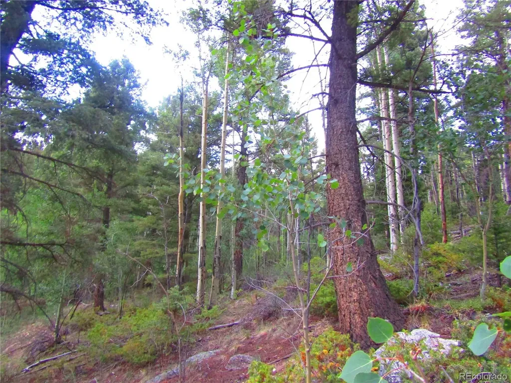 Lot 6461 Jacquez Road San Luis CO 81152