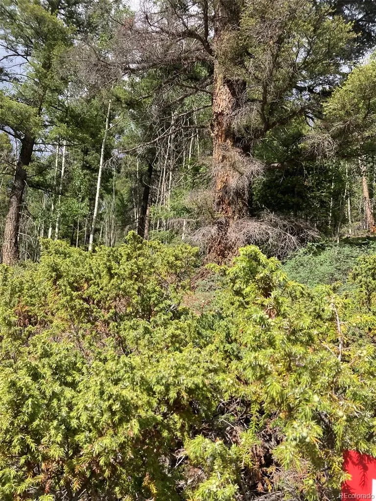 Lot 6461 Jacquez Road San Luis CO 81152
