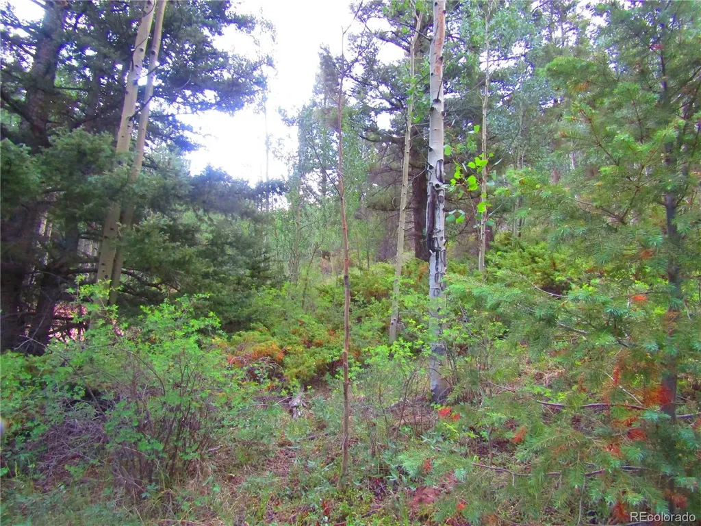 Lot 6461 Jacquez Road San Luis CO 81152