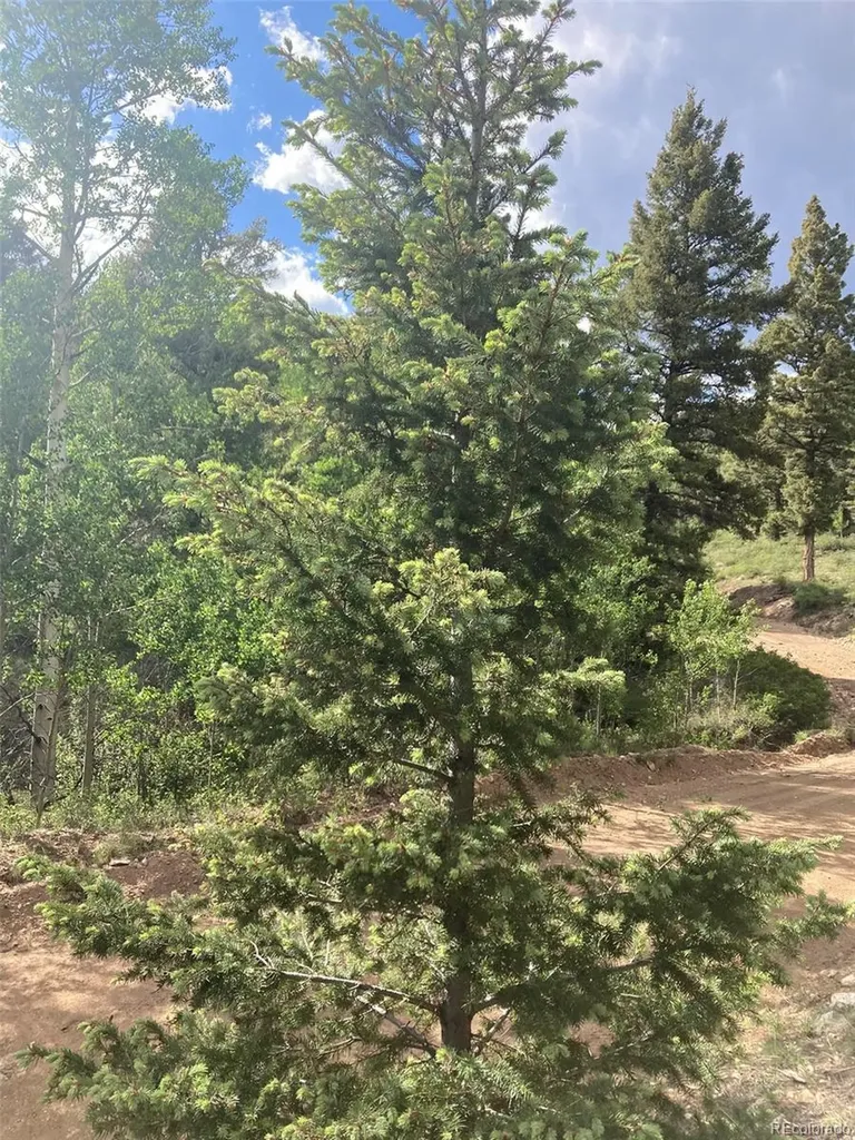 Lot 6461 Jacquez Road San Luis CO 81152
