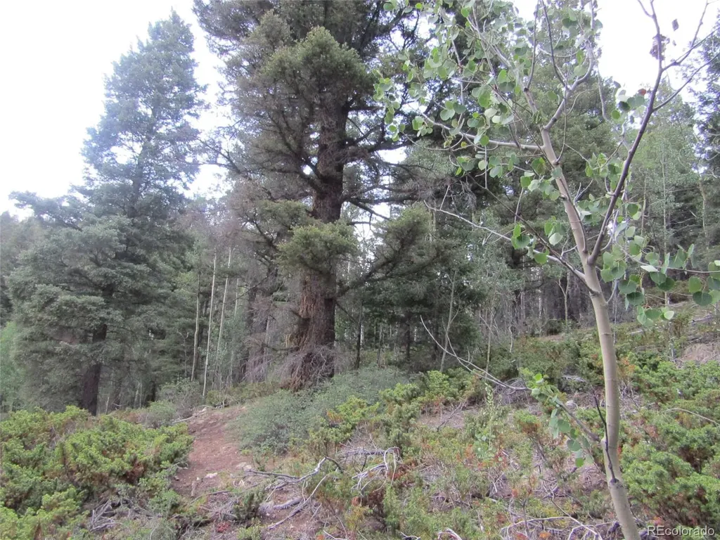 Lot 6461 Jacquez Road San Luis CO 81152