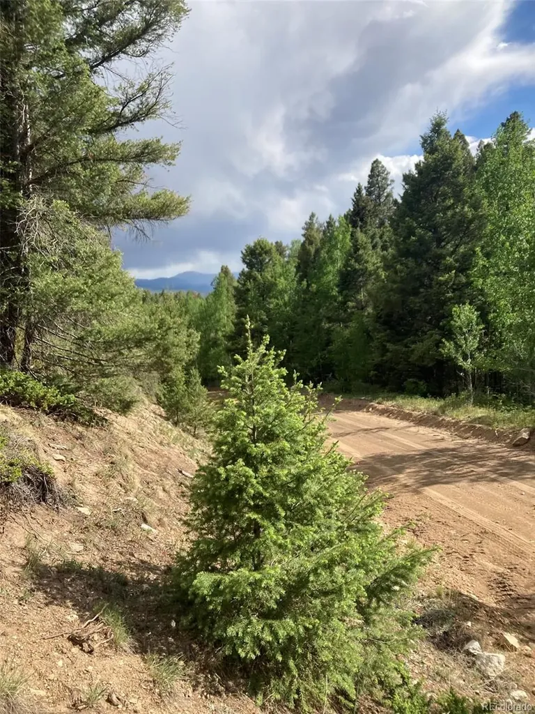 Lot 6461 Jacquez Road San Luis CO 81152