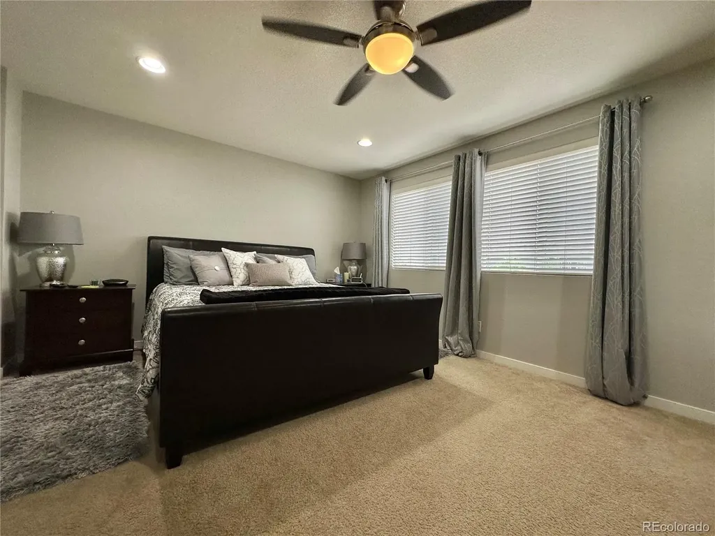 10948 Pastel Point Parker CO 80134