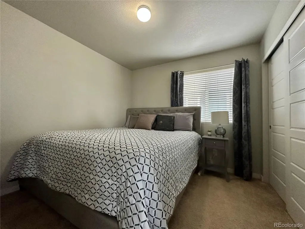 10948 Pastel Point Parker CO 80134