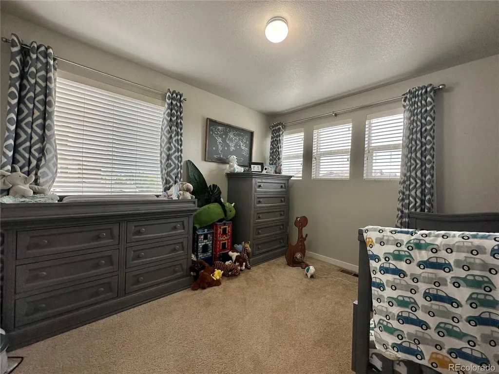 10948 Pastel Point Parker CO 80134