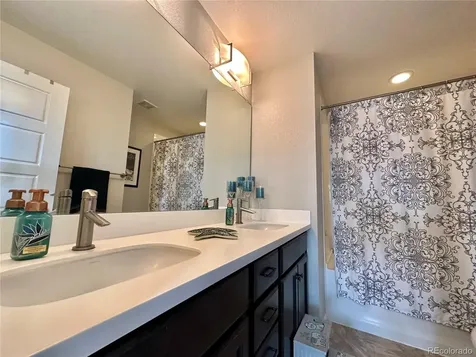 10948 Pastel Point Parker CO 80134