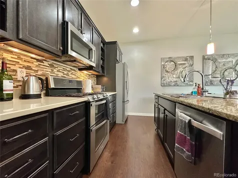 10948 Pastel Point Parker CO 80134