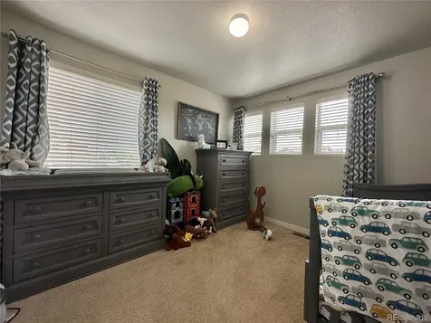 10948 Pastel Point Parker CO 80134