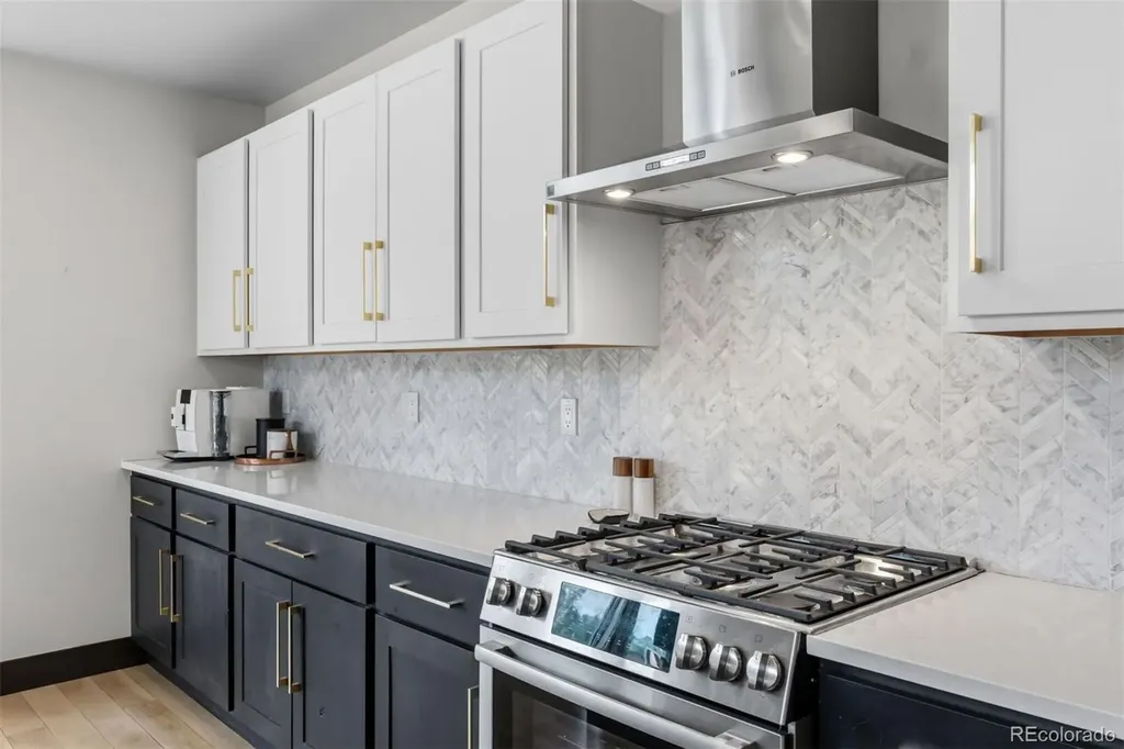 58 W Baron Way Silverthorne CO 80498