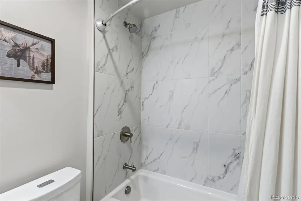 58 W Baron Way Silverthorne CO 80498